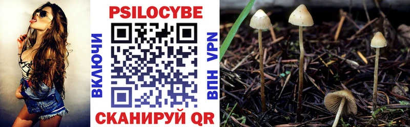 Галлюциногенные грибы Magic Shrooms  Скопин 